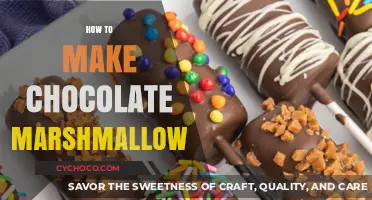 Sweet Treats: Mastering the Art of Chocolate Marshmallows