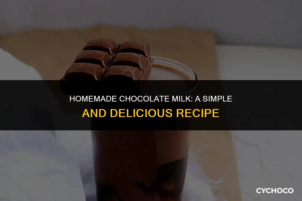 how to make chocolate milk at home