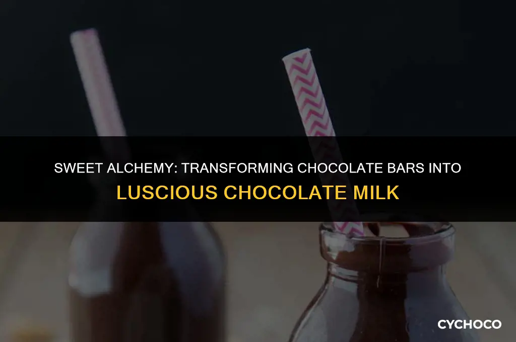 how to make chocolate milk with a chocolate bar