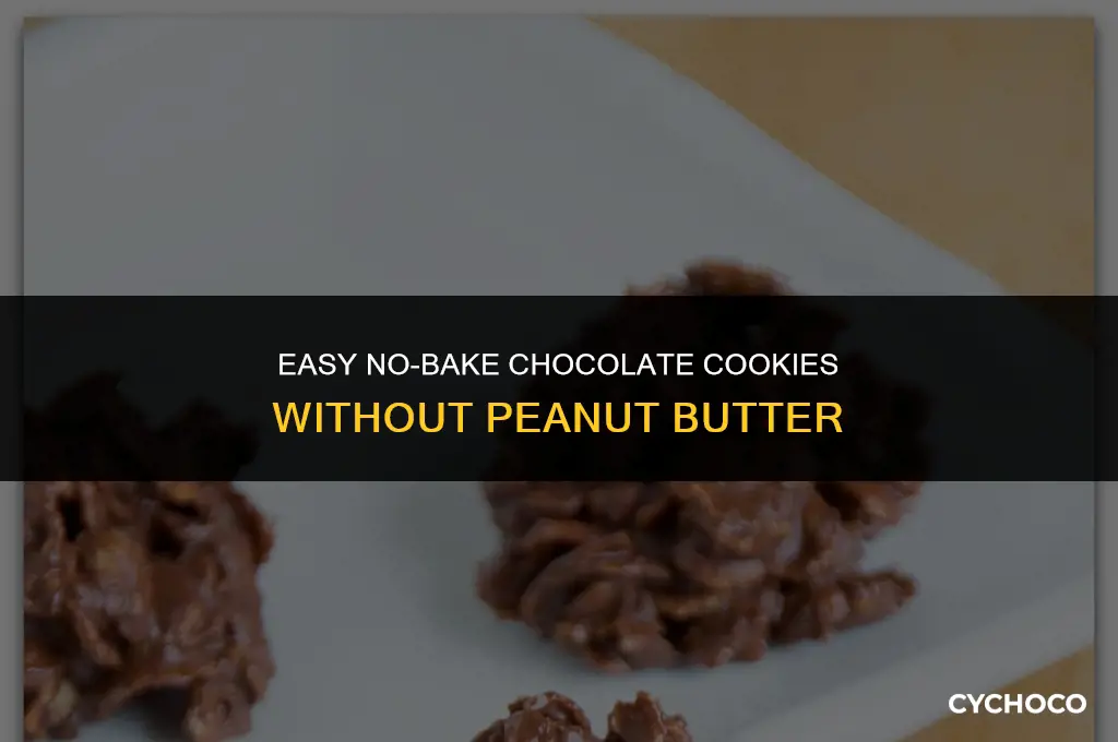 how to make chocolate no bake cookies without peanut butter