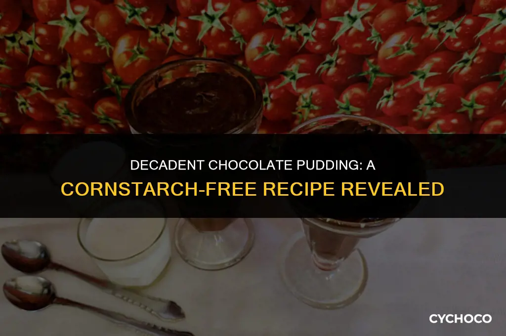 how to make chocolate pudding without cornstarch