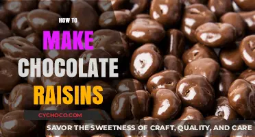 Sweet Fusion: Crafting Chocolate-Covered Raisins at Home