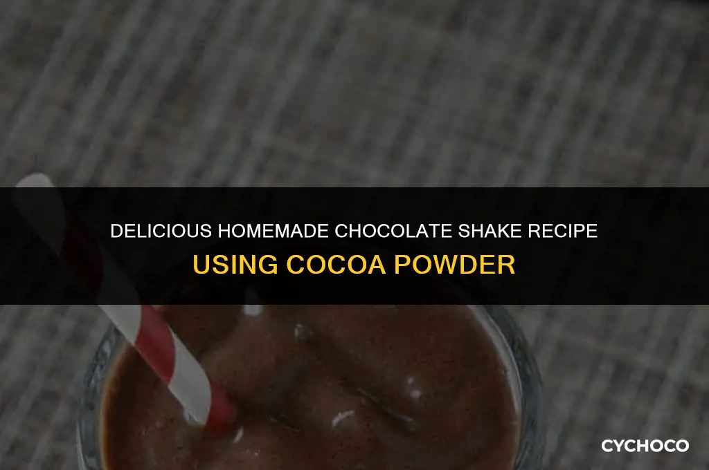 how to make chocolate shake with cocoa powder