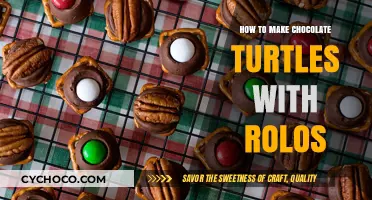 Sweet and Easy: Crafting Chocolate Turtles with Rolos Delight
