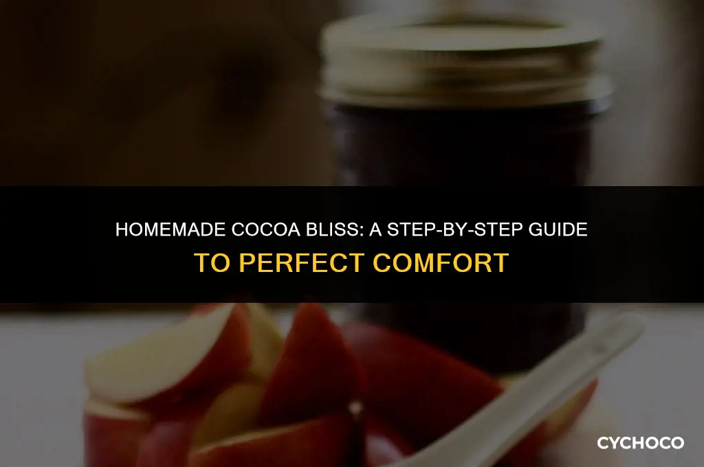 how to make cocoa at home