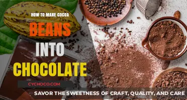 From Bean to Bar: The Art of Crafting Chocolate