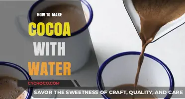 Easy Water-Based Cocoa Recipe: Perfectly Rich and Creamy Every Time
