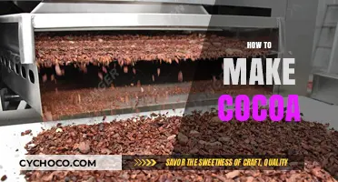From Bean to Cup: The Art of Crafting Rich Cocoa