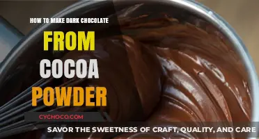 From Powder to Perfection: Crafting Rich Dark Chocolate at Home