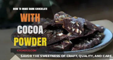 From Powder to Perfection: Crafting Rich Dark Chocolate at Home
