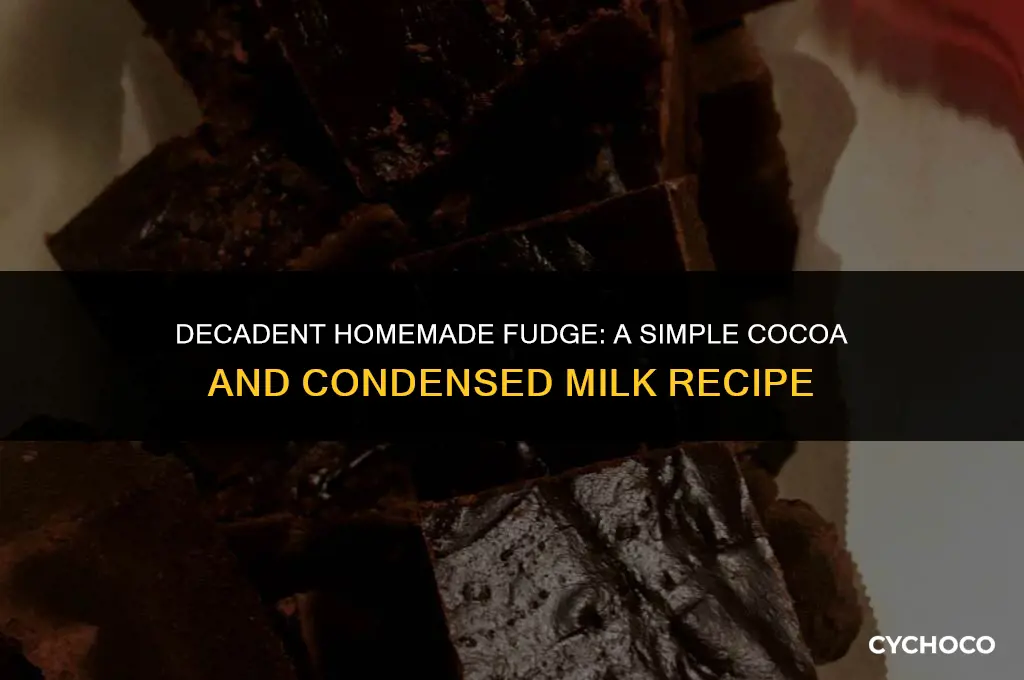 how to make fudge with cocoa powder and condensed milk