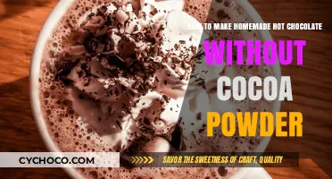 Creamy Homemade Hot Chocolate Recipe Using Chocolate Chips Instead