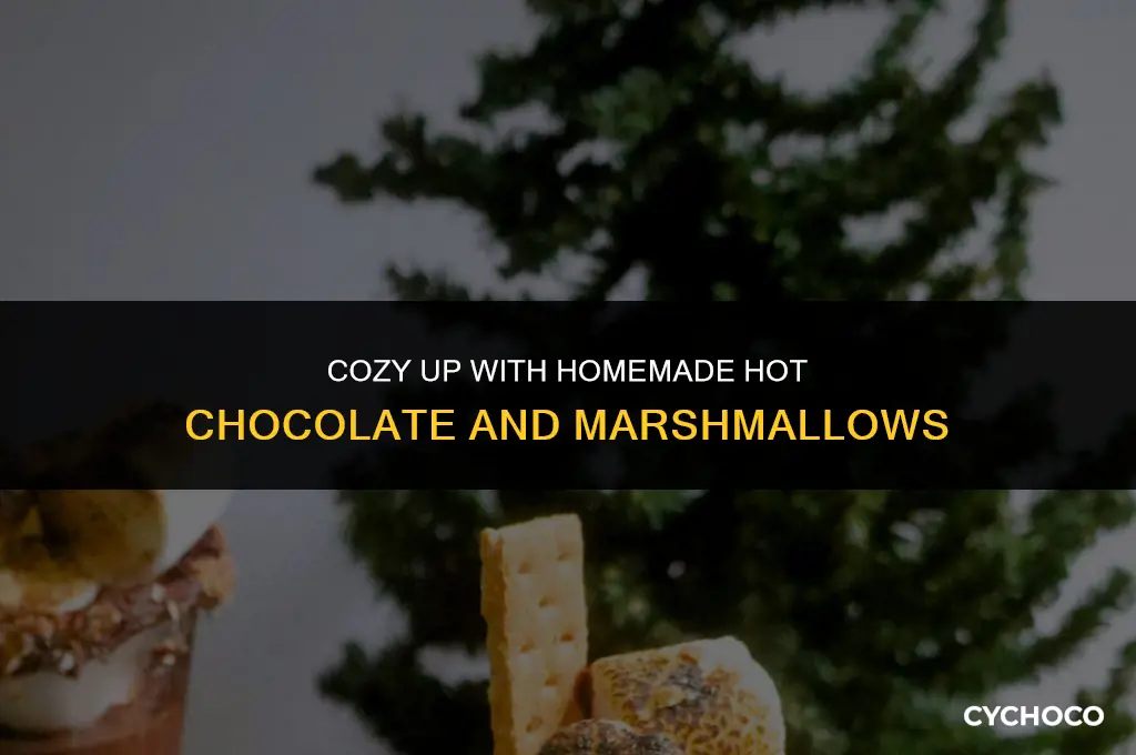 how to make hot chocolate and marshmallows