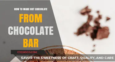From Bar to Mug: Crafting Rich Hot Chocolate at Home