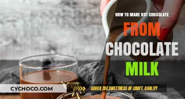 From Chocolate Milk to Hot Cocoa: A Simple Recipe Guide