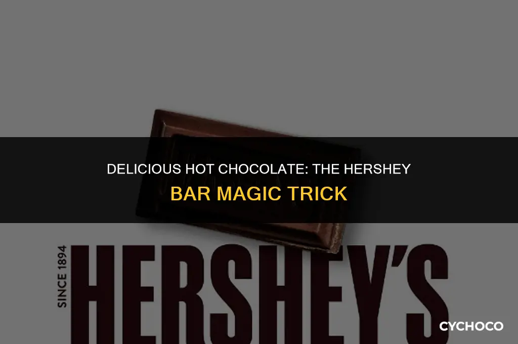 how to make hot chocolate from hershey bars