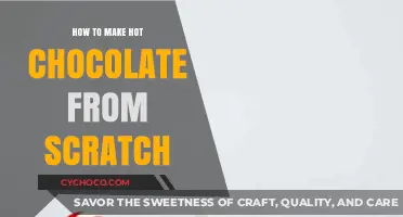 From Scratch: The Art of Perfect Hot Chocolate