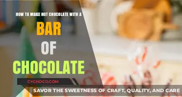 Decadent Hot Chocolate: From Bar to Mug in Minutes