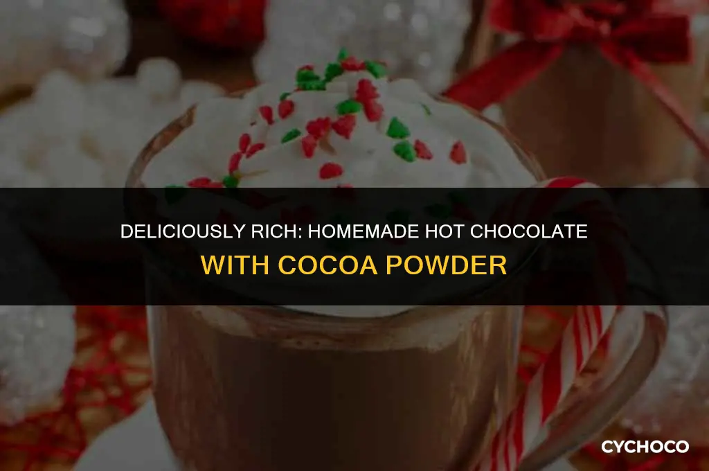 how to make hot chocolate with coco powder