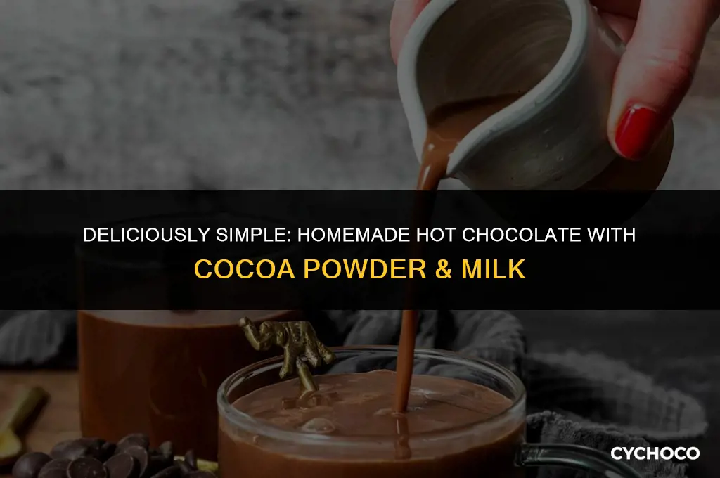 how to make hot chocolate with cocoa powder and milk