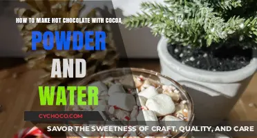 Creamy Hot Chocolate Recipe: Cocoa Powder & Water Made Easy