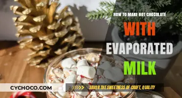 Creamy Hot Chocolate Recipe Using Evaporated Milk: Easy Steps