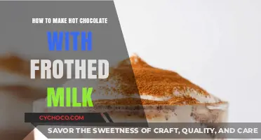 Perfectly Frothed Milk: Elevate Your Hot Chocolate Experience at Home