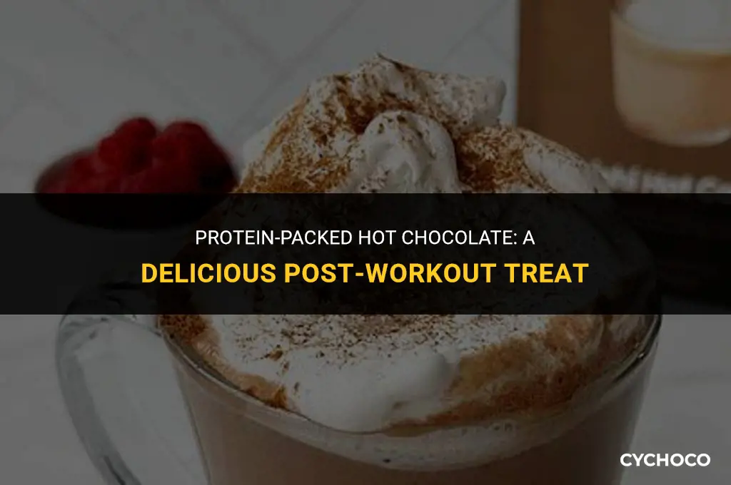 how to make hot chocolate with protein powder