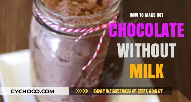 Cozy Dairy-Free Delight: Hot Chocolate Without Milk