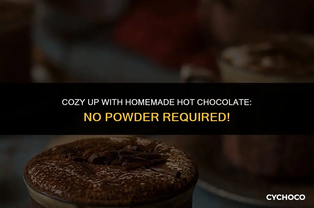 how to make hot chocolate without the powder