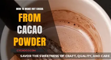 From Powder to Perfection: Crafting the Ultimate Hot Cocoa