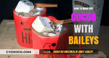 Indulge in Decadence: Hot Cocoa with Baileys Recipe Guide