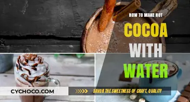 Perfect Water-Based Hot Cocoa: Simple Steps for Creamy Comfort