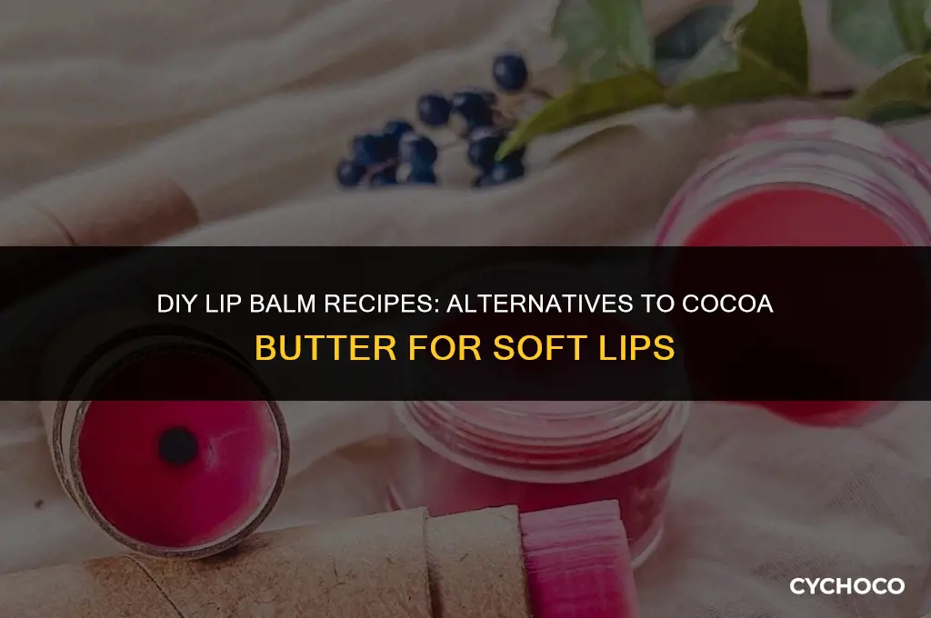 how to make lip balm without cocoa butter