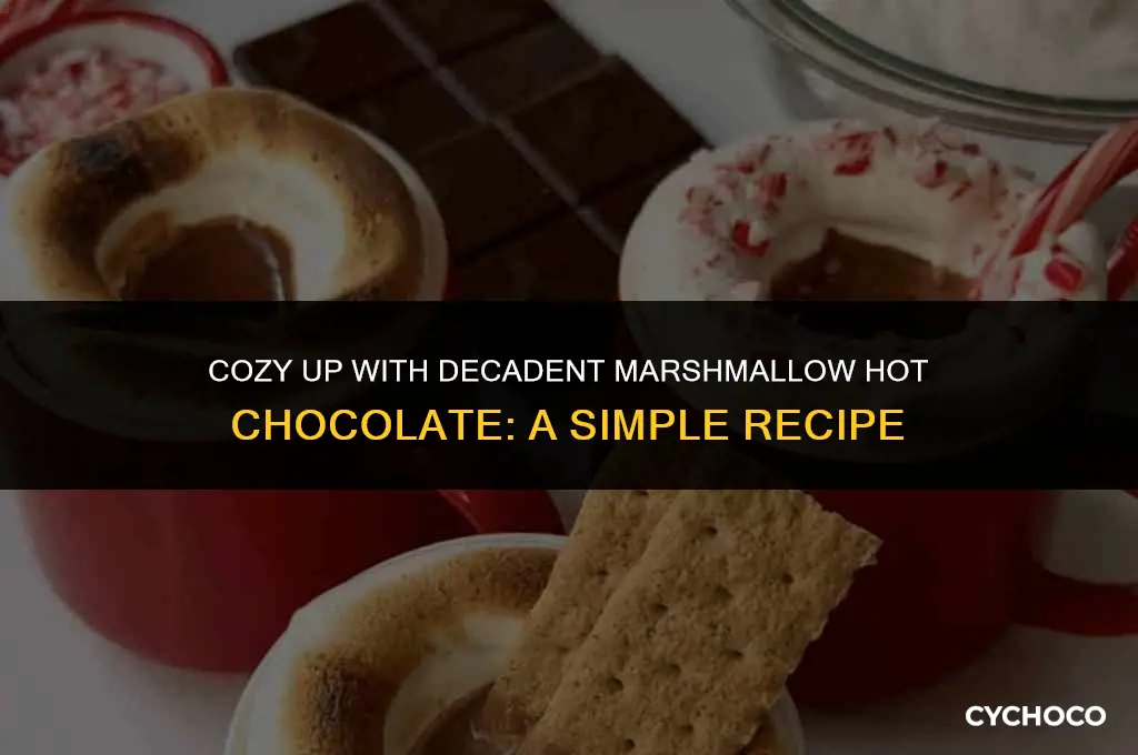 how to make marshmallow hot chocolate