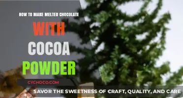 From Powder to Perfection: Mastering the Art of Melted Chocolate