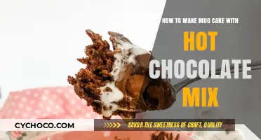 Quick & Easy Mug Cake Recipe Using Hot Chocolate Mix
