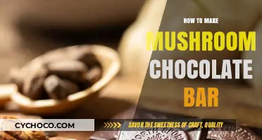 Crafting Decadent Mushroom Chocolate Bars: A Gourmet Adventure