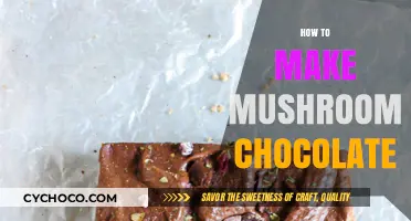 Crafting Psychedelic Delights: A Guide to Making Mushroom Chocolate