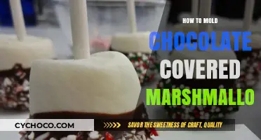 Crafting Chocolate-Dipped Marshmallow Delights: A Simple Guide