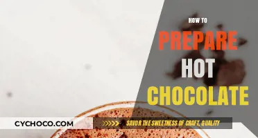 Cozy Up with the Perfect Cup: A Hot Chocolate Preparation Guide