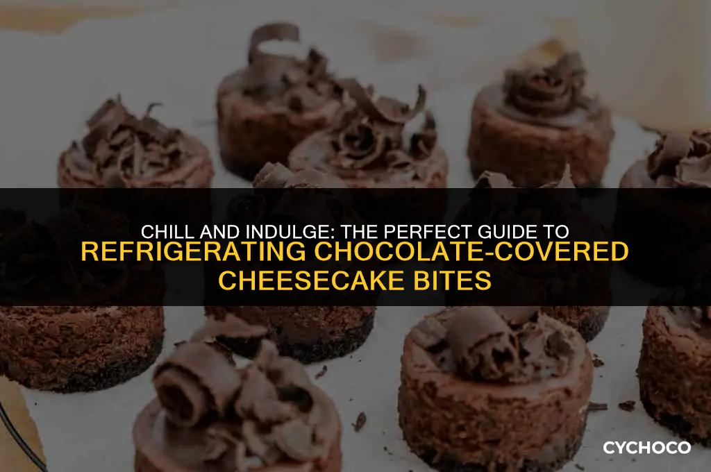 how to refrigerate chocolate covered cheesecake bites