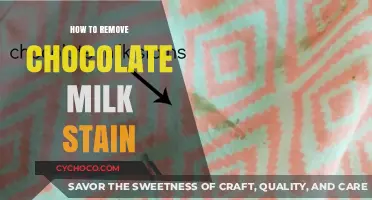 Quick Tips to Remove Chocolate Milk Stains Easily and Effectively