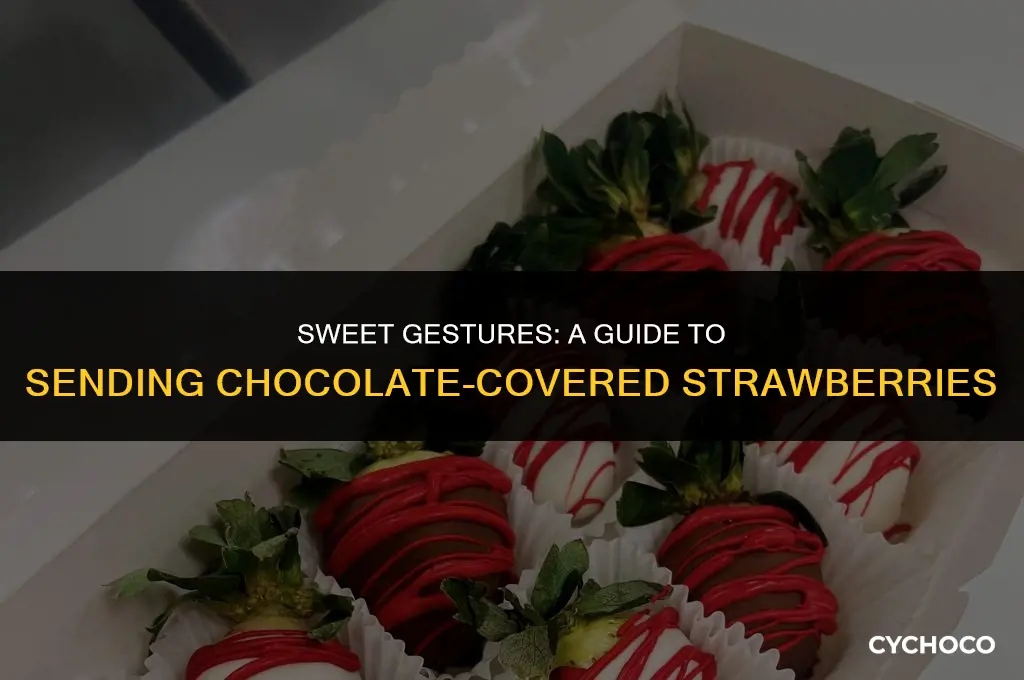 how to send someone chocolate covered strawberries