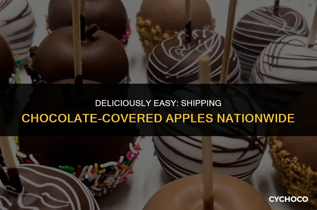how to ship chocolate covered apples