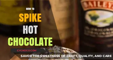 Spice Up Your Hot Chocolate: A Guide to Perfectly Spiked Drinks