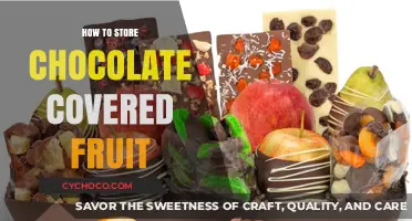 Preserving Sweetness: The Art of Storing Chocolate-Covered Fruit