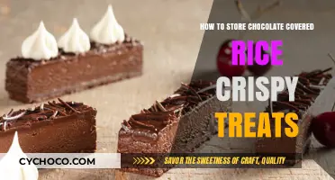 Preserving Perfection: Storing Chocolate-Covered Rice Crispy Treats