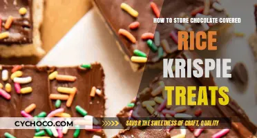Preserving Perfection: Storing Chocolate-Covered Rice Krispie Treats