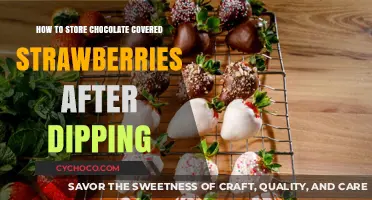 Preserving Perfection: The Best Way to Store Chocolate-Dipped Strawberries
